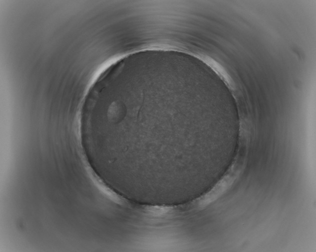 X0000114130854200910221503