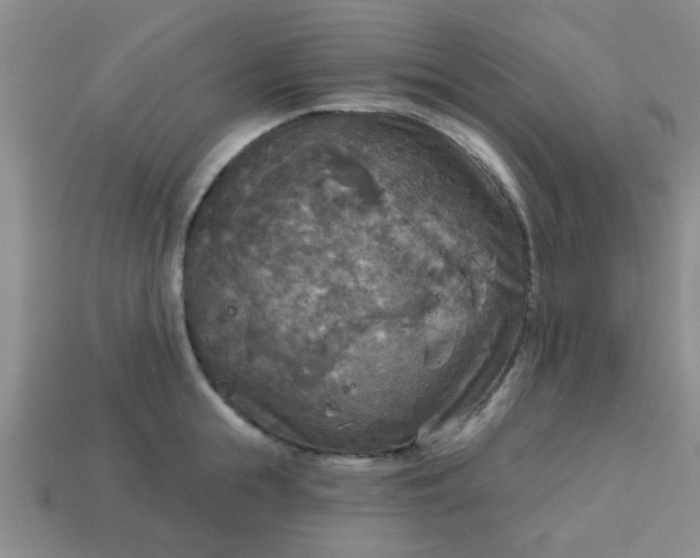 X0000114130855200910221503