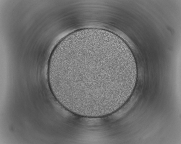 X0000114130856200910221503