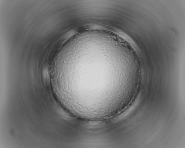 X0000114130857200910221503