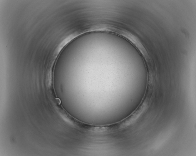 X0000114130858200910221503