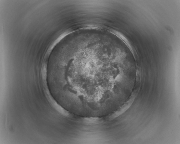 X0000114130859200910221503