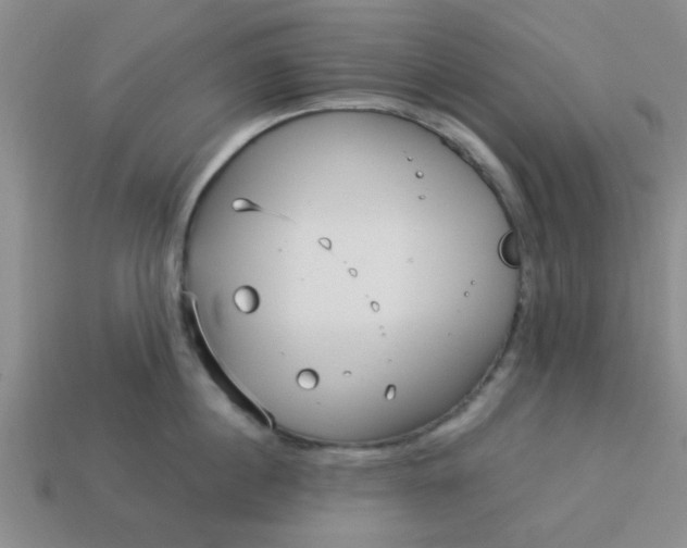 X0000114130860200910221503