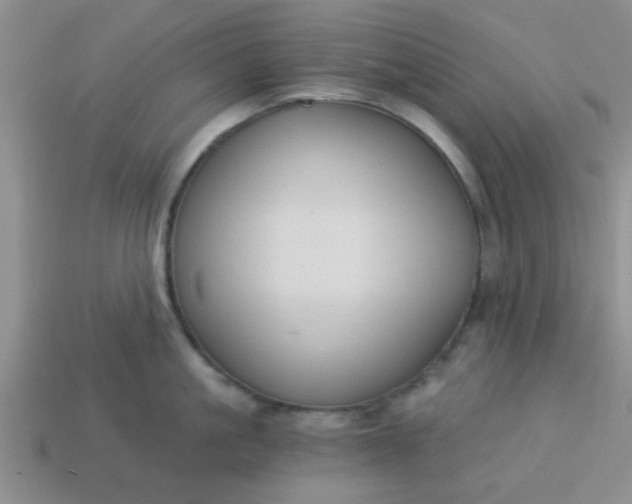 X0000114130861200910221503