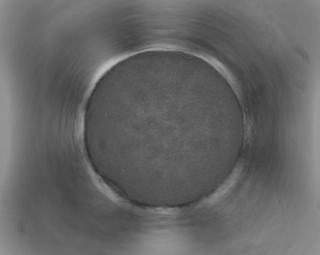 X0000114130862200910221503