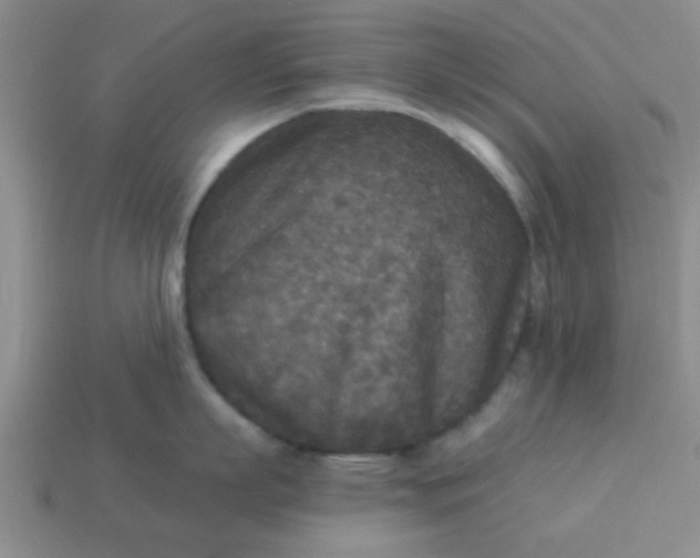 X0000114130863200910221503