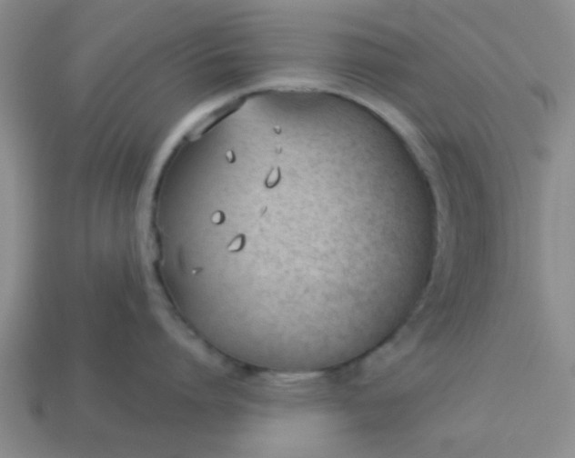 X0000114130864200910221503