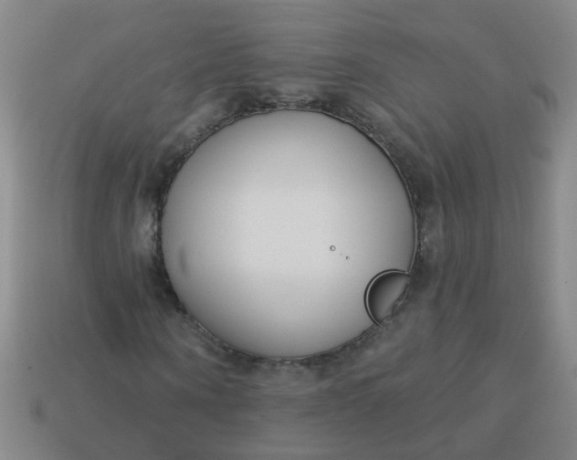 X0000114130866200910221502