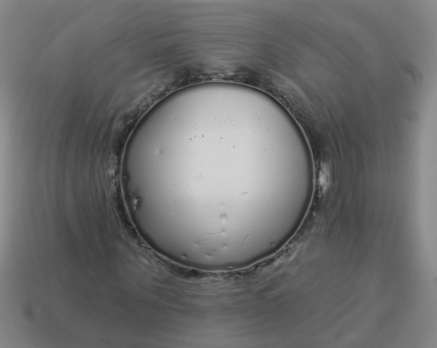 X0000114130867200910221502