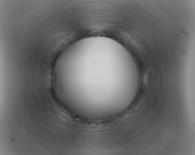 X0000114130868200910221502