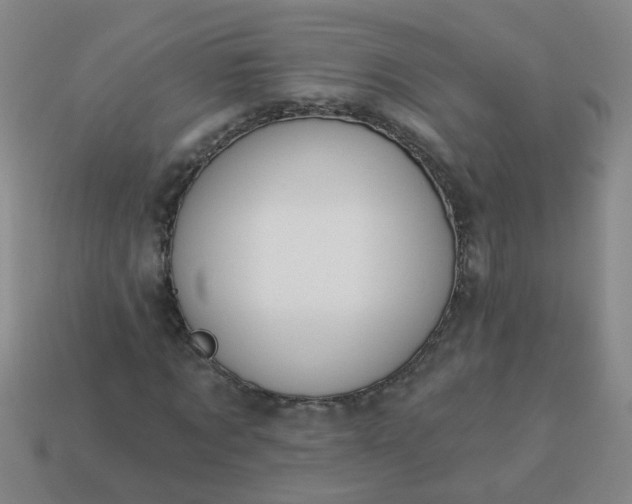 X0000114130869200910221502