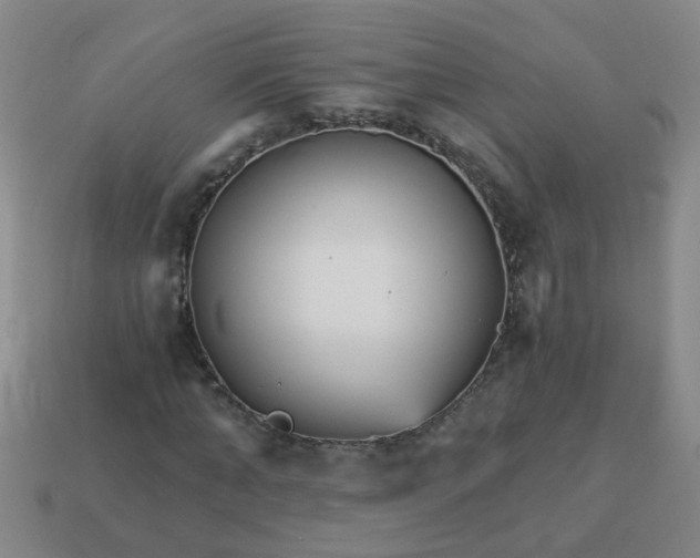 X0000114130870200910221502