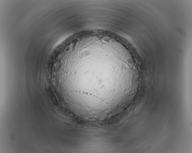 X0000114130871200910221502