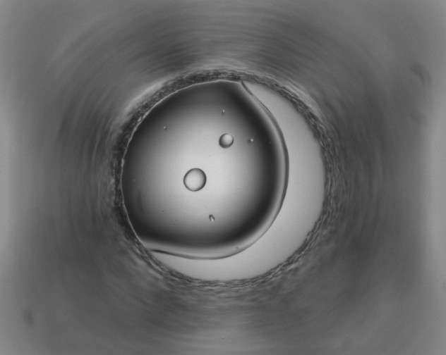 X0000114130872200910221502