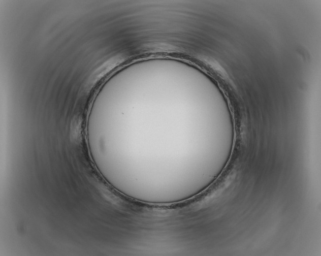 X0000114130873200910221502