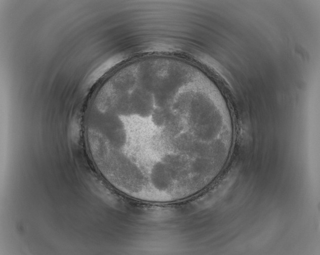 X0000114130874200910221502