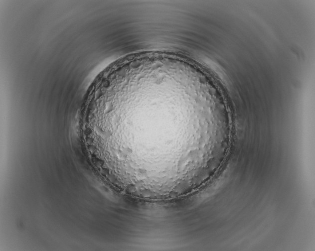 X0000114130875200910221502