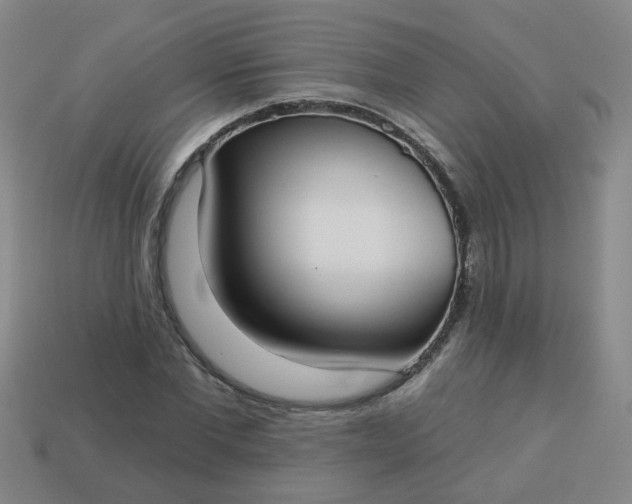 X0000114130877200910221502