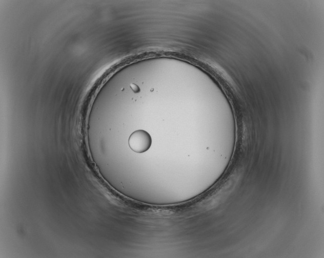 X0000114130878200910221502