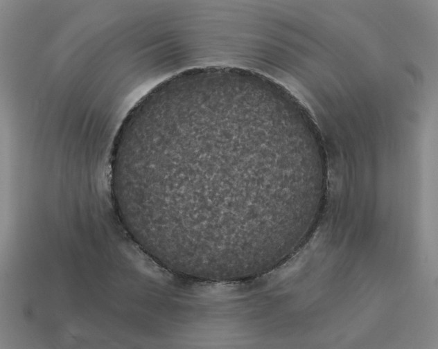 X0000114130879200910221502