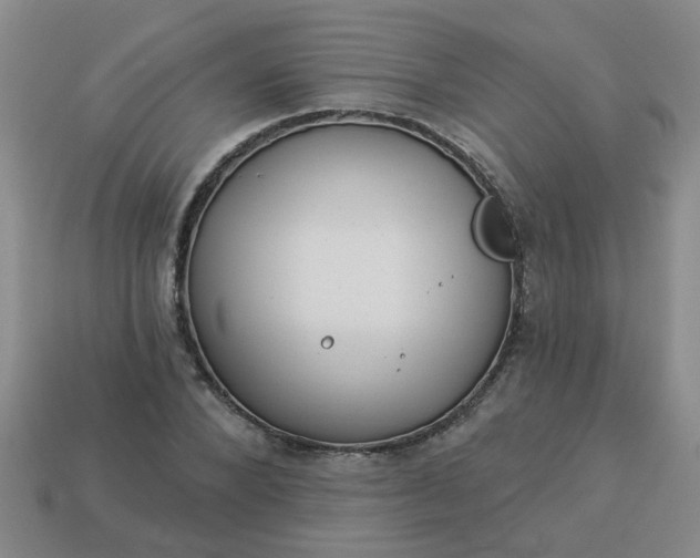 X0000114130880200910221502