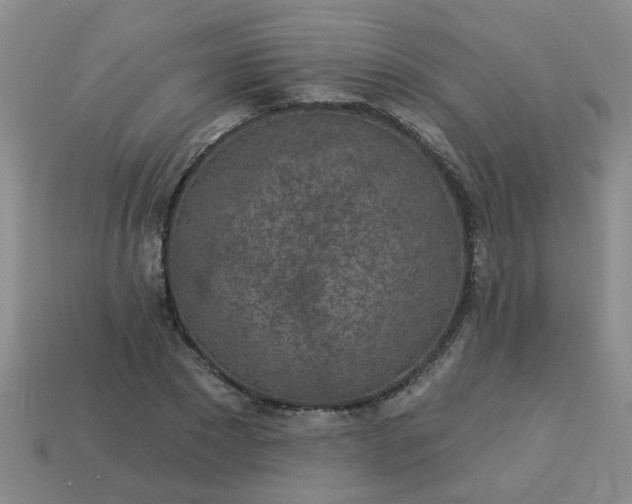 X0000114130881200910221502