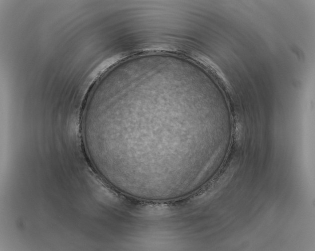 X0000114130882200910221502