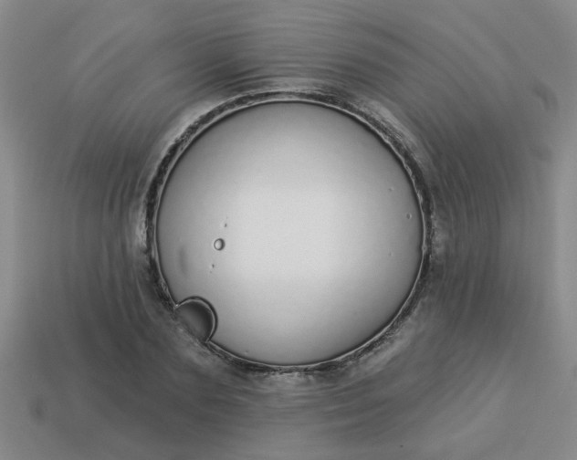 X0000114130883200910221502