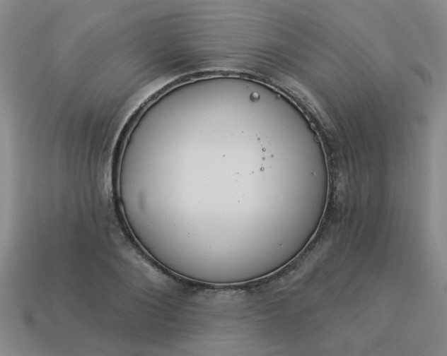 X0000114130884200910221502