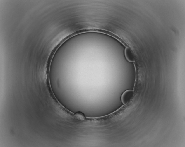 X0000114130885200910221502