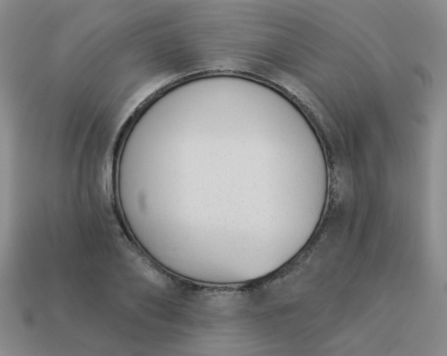 X0000114130886200910221502