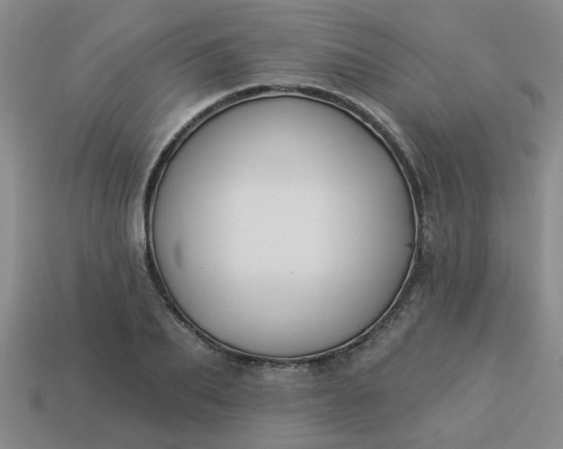 X0000114130887200910221502