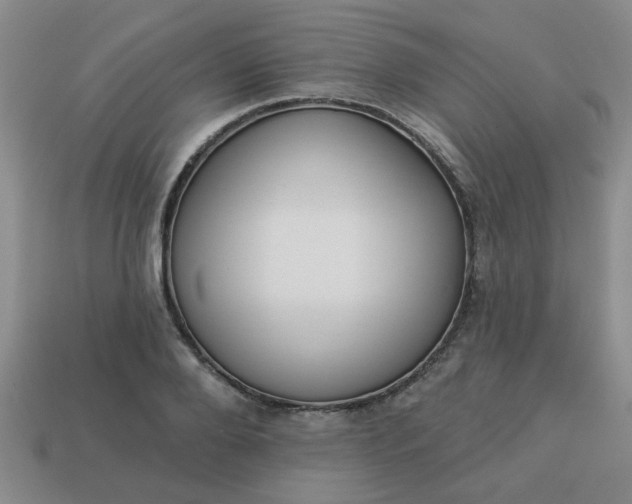 X0000114130888200910221502