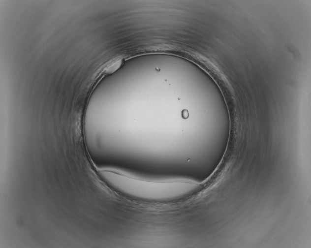 X0000114130889200910221502