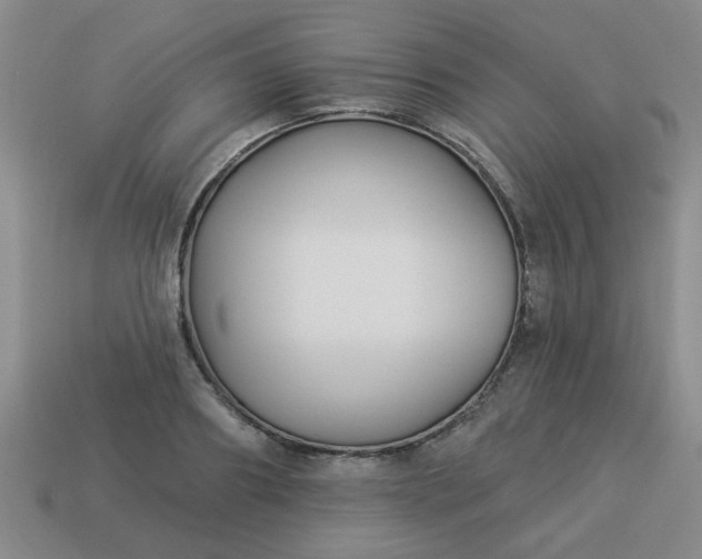 X0000114130890200910221502