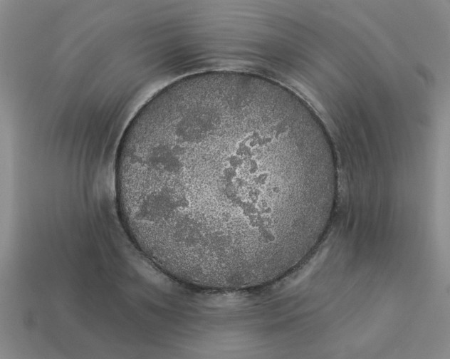 X0000114130891200910221502