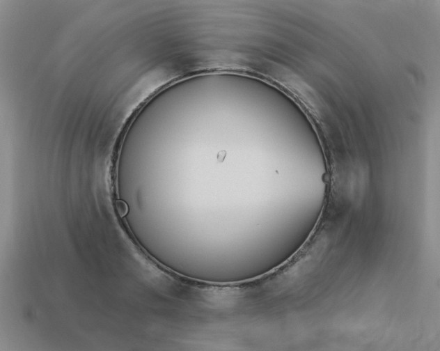 X0000114130893200910221502