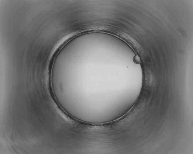 X0000114130894200910221502