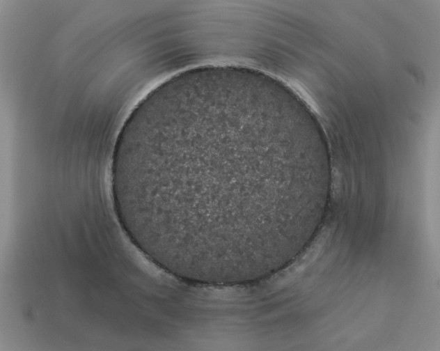 X0000114130895200910221502