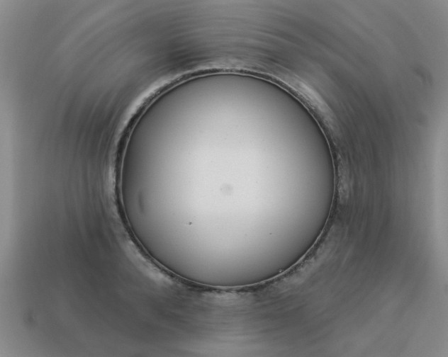 X0000114130896200910221502