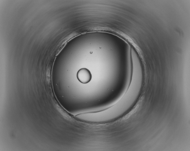 X0000114130897200910221502