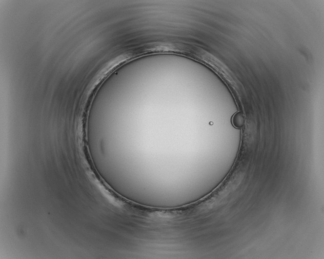 X0000114130898200910221502