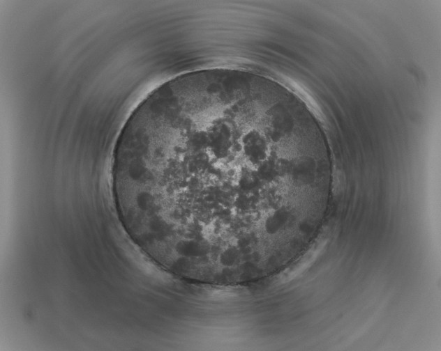 X0000114130899200910221502