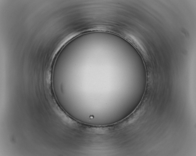 X0000114130900200910221502