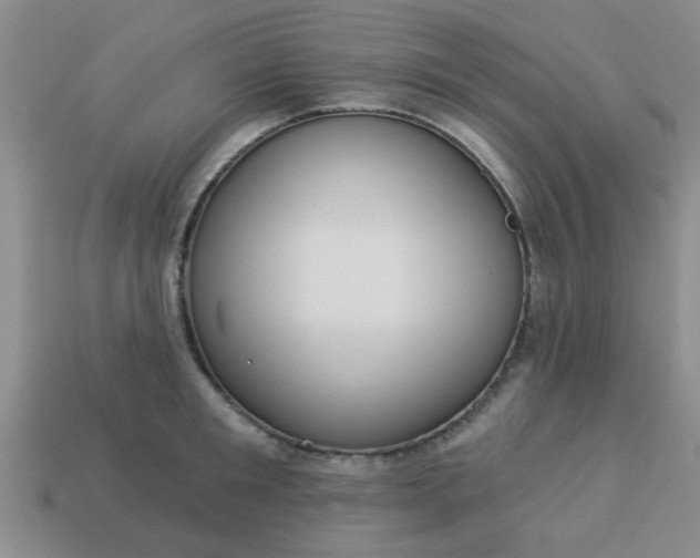 X0000114130901200910221502