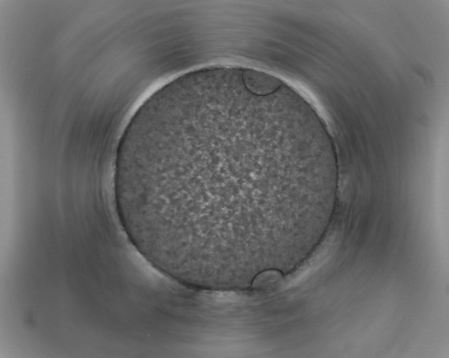 X0000114130903200910221502