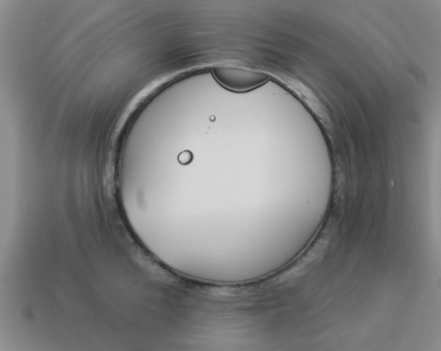 X0000114130904200910221502