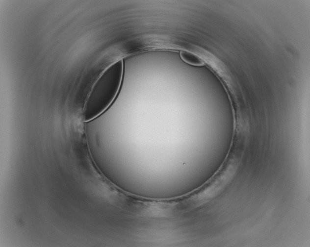 X0000114130905200910221502