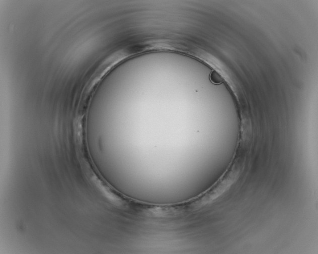 X0000114130906200910221502