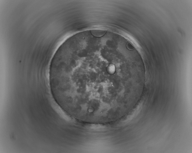 X0000114130907200910221502